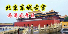 黄色日韩美女扣穴毛多水多潮吹中国北京-东城古宫旅游风景区